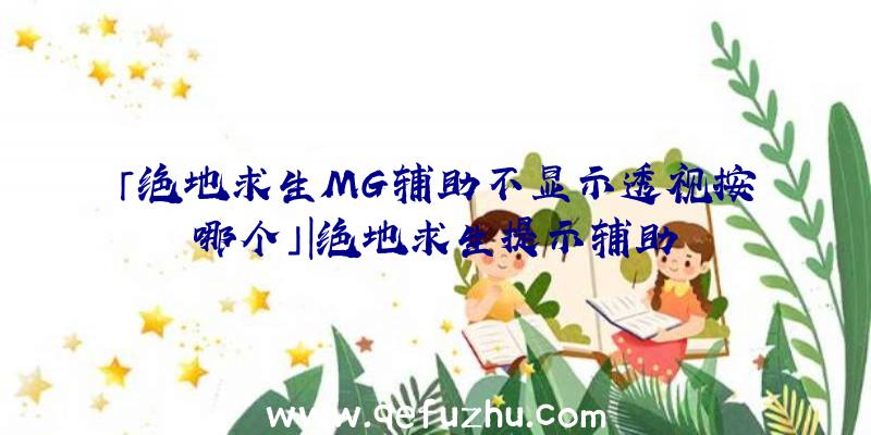 「绝地求生MG辅助不显示透视按哪个」|绝地求生提示辅助